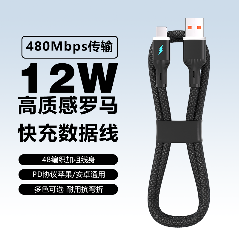 12W罗马快充数据线
